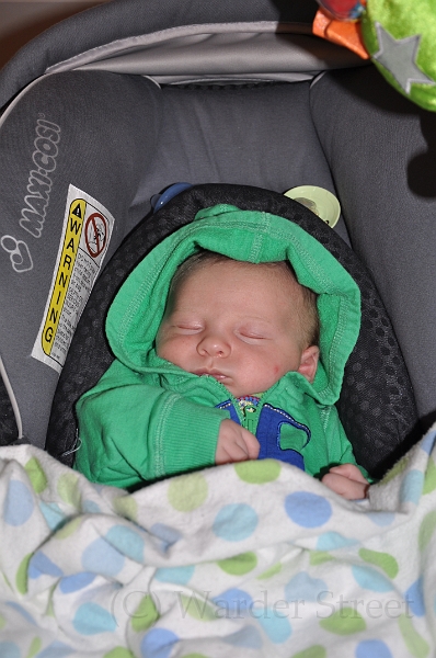 William's Fourth Week 02.jpg